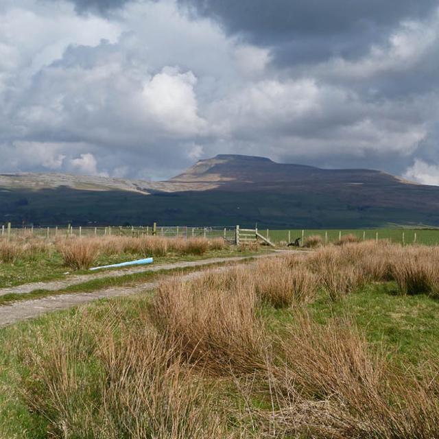 High Bentham Circular Walk (5 miles) • Craven and Valley Life